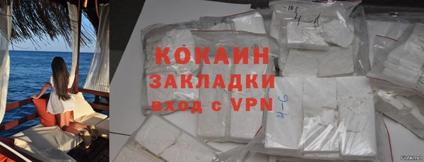 mdpv Богородицк