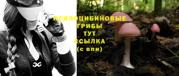 синтетический гашиш Бронницы