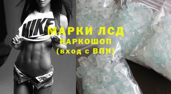 хмурый Сатка