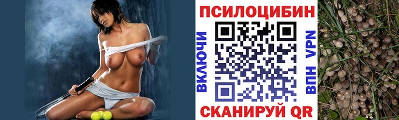 кракен зеркало  где купить наркоту  Грязи  Псилоцибиновые грибы Psilocybe 